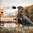 thumbnail image 3 of Reflective Dog Collar Padded with Soft Neoprene Breathable Quick Release Basic Dog Collars for Puppy Small Dogs, 3 of 6