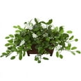 thumbnail image 2 of Nearly Natural Plastic 14" Mix Stephanotis Artificial Plant in Decorative Planter, Green, 2 of 2