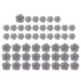thumbnail image 3 of dianhelloya Nail Art Supplies 50Pcs Nail Camellias Three-dimensional Shiny Visual Effect Glitter DIY Mini 3D Nail Manicure Craft Ornaments for Manicurist (Silver), 3 of 8