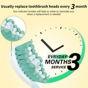 Replacement Brush Heads Compatible with Philips Sonicare E-Series HX7022 HX7001 Essence Xtreme Elite Advance and CleanCare Screw-On Toothbrush Handles, 6 Pack