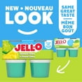thumbnail image 2 of Goûters À La Gelée Réfrigéré Prêt-À-Servir À Saveur De Citron-Lime Sans Sucre Ajouté, Paquet De 4, 2 of 15