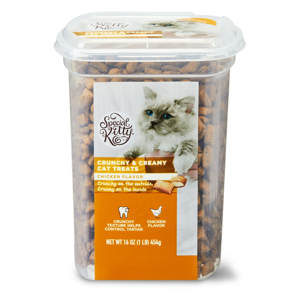 Special Kitty Crunchy & Creamy Cat Treats, Chicken Flavor, 16 oz