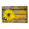 thumbnail image 1 of Epic Graffiti 'Wood Series: Rustic Daisy' Canvas Wall Art, 26" x 40", 1 of 2