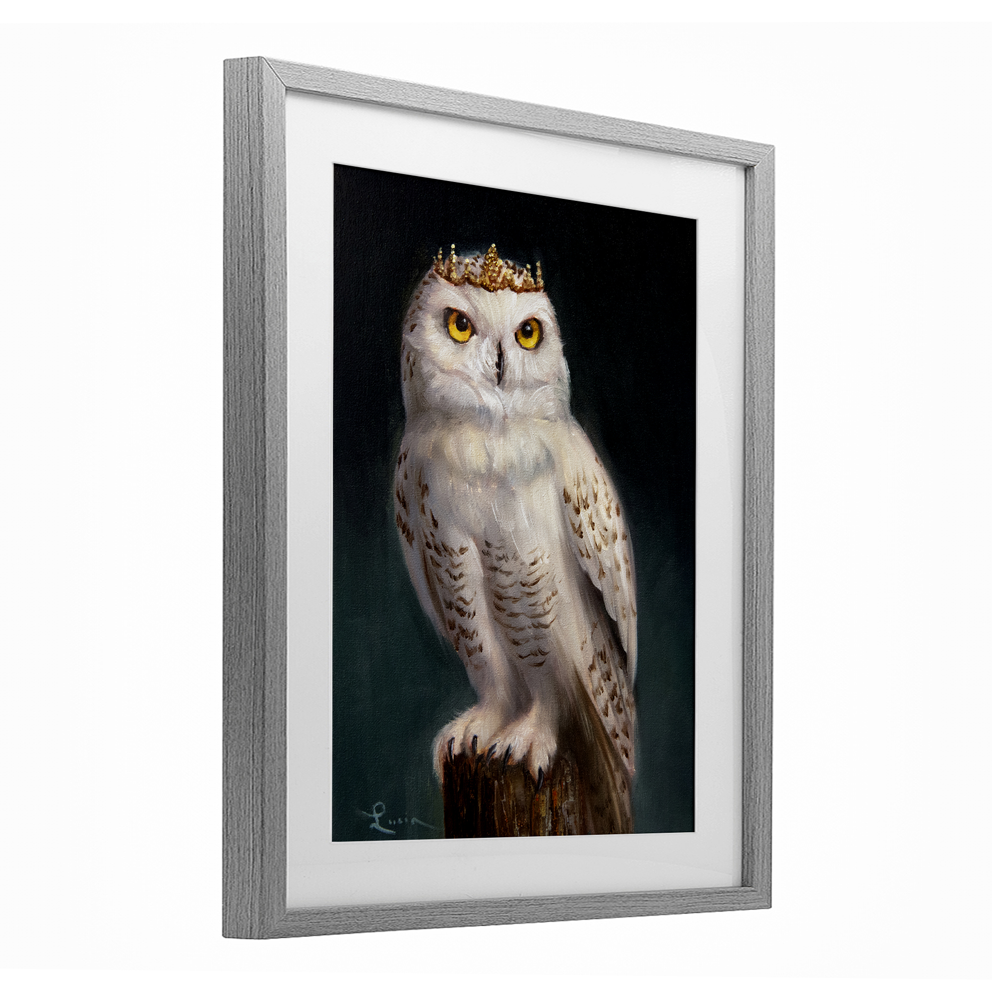 Snowy Owl King Gray Framed Print Under Glass, design by Lucia Heffernan