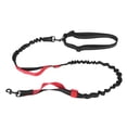 thumbnail image 2 of Retractable Dog Leash Automatic Durable 360 Degree Free Rotation Comfort Explosion Proof Pet 360  Retractable Dog Leash Strong Nylon Tape, 2 of 8