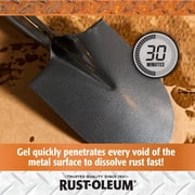 Rust-Oleum Rust Dissolver Gel Spray-300112, 32 oz