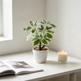 thumbnail image 6 of Artificial Money Tree Bonsai, 9.84 in Faux Potted Plants for Desk Shelf Office Bathroom Decor, Green, 6 of 6