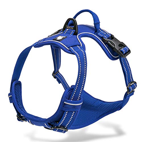 chai's choice harness