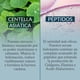 thumbnail image 5 of Serum P&eacute;ptidos 3% + Centella Asi&aacute;tica | Reduce Arrugas y Signos de la Edad | Regenera, Hidrata y Reafirma | Antiedad + Calmante | Para Todo tipo de Piel | Skin Care | Biune. | 30, 5 of 8