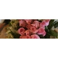 thumbnail image 3 of Butcher, Sarah 24x11 Black Modern Framed Museum Art Print Titled - Pink Roses, 3 of 5