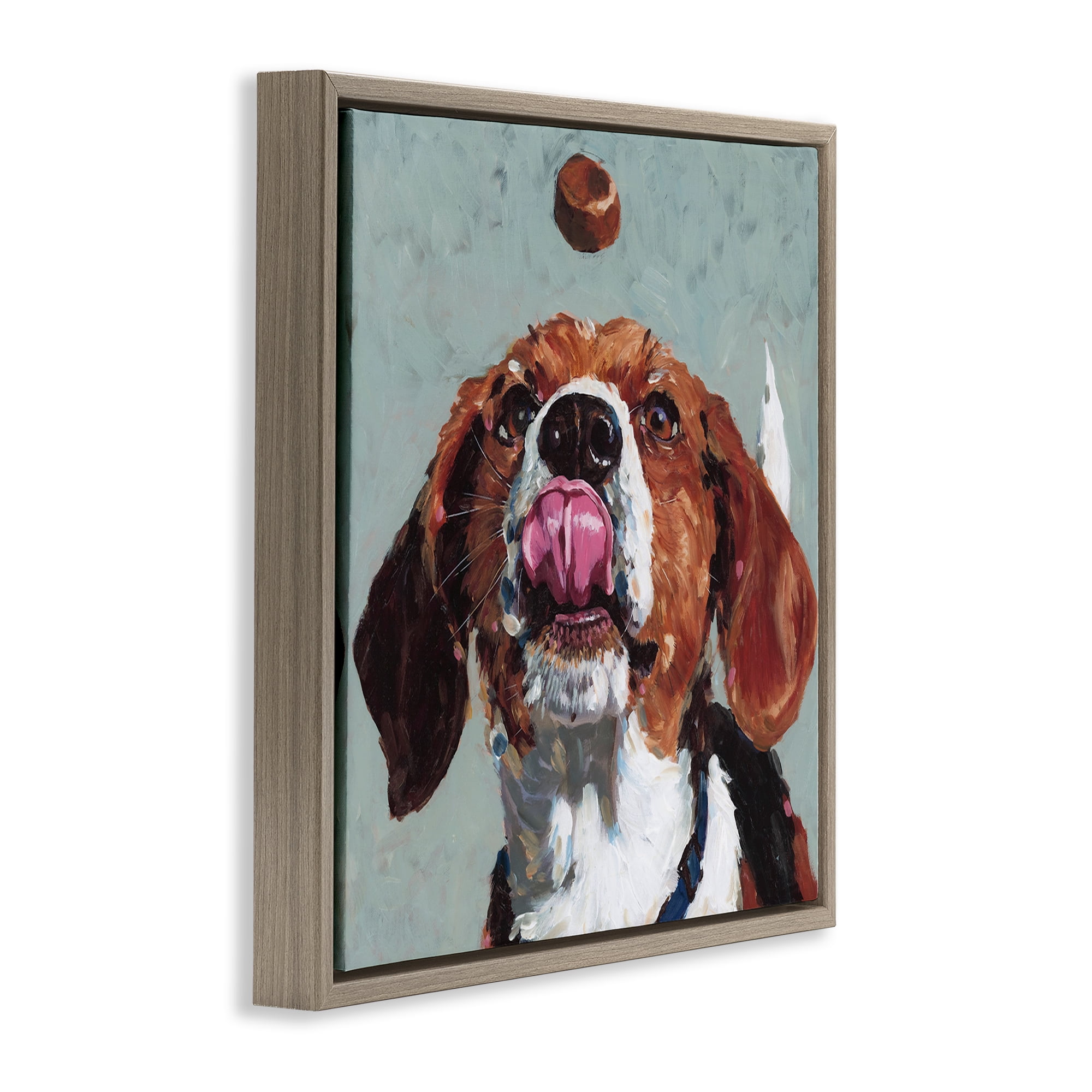 Stupell Industries Beagle Treat Excitement Brown Framed Floater Canvas Wall Art, design by Studio Bautista