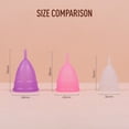 thumbnail image 4 of Sirona Reusable Menstrual Cup Large | Reusable Period Cup | Tampon and Pad Alternative | Super Heavy Flow, 4 of 10