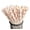 100 cherries, variant on 100 Count Biodegradable Fruit Print Paper Straws, Disposable Decorative Drinking Straws for Party & Beverage