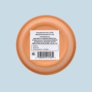 Hello Hobby Medium Terracotta Pot, 4