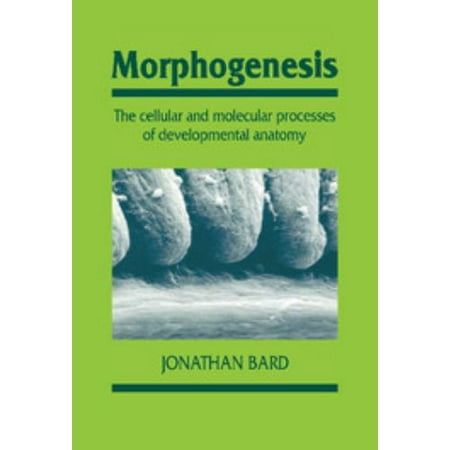 Morphogenesis : The Cellular and Molecular Processes of Developmental Anatomy, Used [Hardcover]