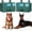 Green, variant on 2-Pack Dog Bark Deterrent Devices, Ultrasonic Anti Barking Device for Dogs, Battery Powered Bark Control Device for Indoor Outdoor Use, Chewing & Bad Behavior(Brown)