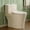 Bisque, variant on HOROW Toilet Compact One Piece ADA Height 17.3" Comfort Seat Elongated Dual Flush 1.1/1.6 GPF