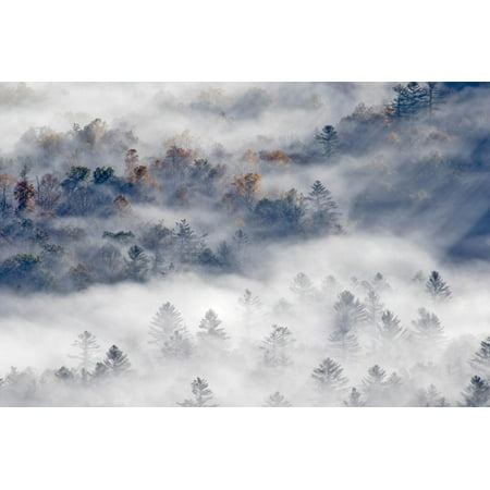 Foggy Valley at Sunrise, Pounding Mill Overlook, North Carolina Blue Ridge Parkway Mountain Photo Print Wall Art By Adam