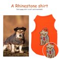 thumbnail image 3 of DIY ropa para mascotas pintura de diamantes camisetas sin mangas para perros gatos traje de verano Tmvgtek decoración de arte en el hogar, 3 of 9