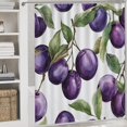 thumbnail image 5 of Watercolor Purple Plums Shower Curtain 4 Piece Set Bathroom Sets with Curtain Rug Toilet Cover And U Shaped Mat Vintage Purple Plum Art Print Waterproof Shower Curtain for Bathtub Decor, 5 of 8