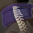 thumbnail image 3 of HAHDAXIA Cervicorrect Neck Brace, Cervicorrect Neck Brace by Healthy Lab Co, Cervical Neck Brace for Snoring, Soft Neck Brace for Neck Pain and Support (2Pcs Pink), 3 of 7