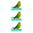thumbnail image 2 of maskred Green Multi-functional Parrot Scratching Stick With Easy To Install No Displacement Grinding Stick as shown 3Set, 2 of 5