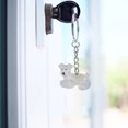 thumbnail image 3 of Pet Fur Repeke Capsule Collector Memorial Keychain (D), 3 of 7