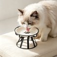 thumbnail image 5 of Elevated Ceramic Cat Bowl With Metal Stand Anti Tip Pet Food Water Bowl Cute Pattern Raised Feeding Dish For Small Medium Cats Dogs Prevent Neck Strain Indoor Pet Feeder, 5 of 6
