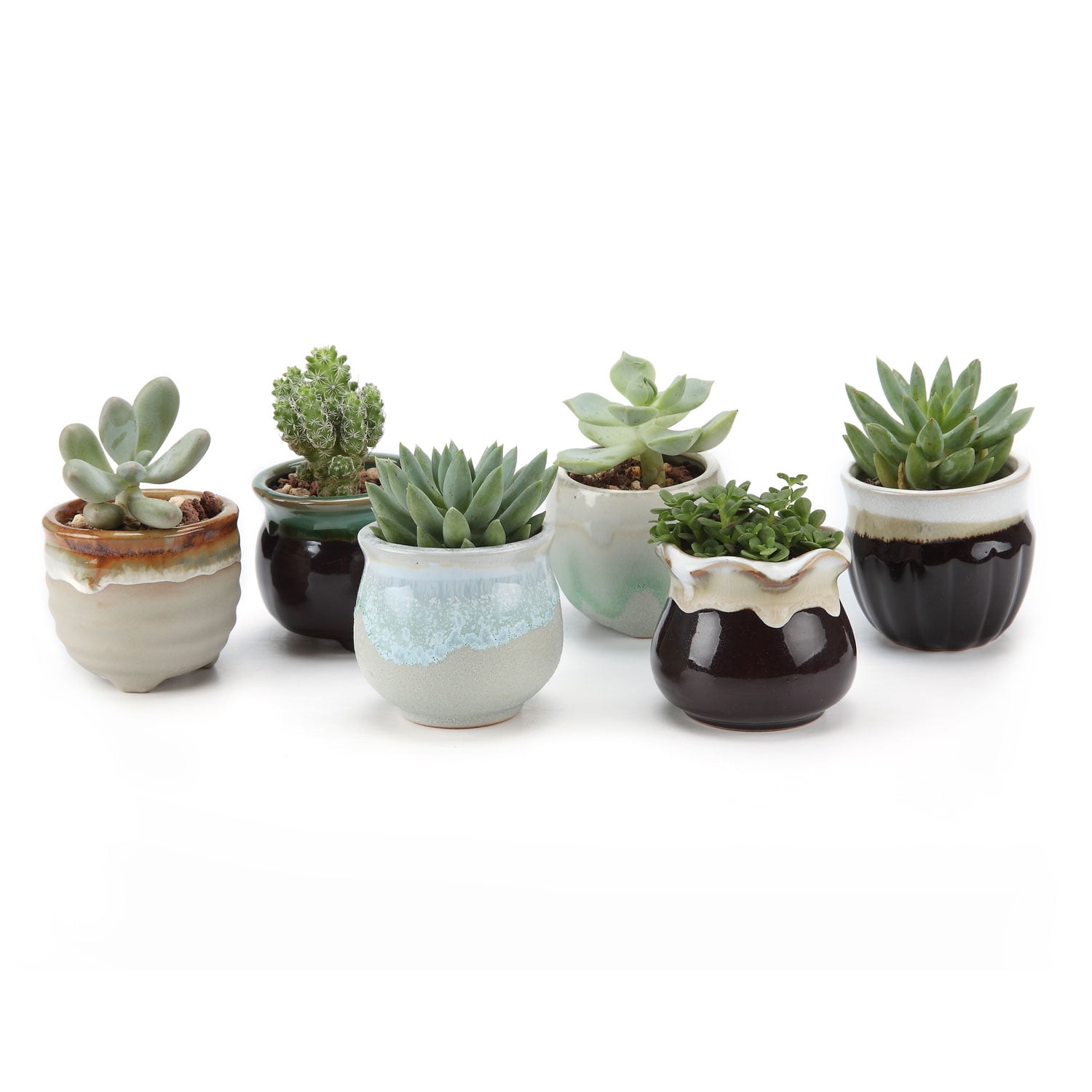 ilohaus Succulent Pots Set of 6, Plant Pots Indoor, Succulent Planters,  Small Plant Pots, Cactus Pot, Cute Plant Pots, Small Flower Pots, Small