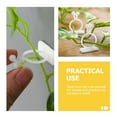 thumbnail image 4 of 100 piezas de soporte para plantas de dinero, ganchos de pared para plantas de interior, soporte para plantas trepadoras, clips de fijación de pared, 4 of 6