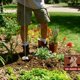 thumbnail image 3 of Barrena Profesional de Jardinería Versatile Housewares GOAWESOMEAUGER, 3 of 4