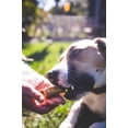 thumbnail image 7 of Happy Dog Meal - Small, 7 of 7
