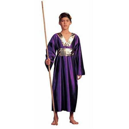 Child Purple Wiseman Costume RG Costumes 90181