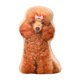 thumbnail image 2 of Juguete de peluche Salvador para perros y gatos 50cm Estilo B, 2 of 10