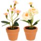 thumbnail image 1 of KAKOWELY 2 plantas artificiales en maceta para casa, modelo de bonsái pequeño, decoración de maceta en miniatura, 1 of 5