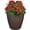 Rust, variant on 24-Inch Anjelica Large Plastic Pot for Plants - Outdoor Double-Walled Large Plastic Planter with Drillable Drainage Holes- Rust