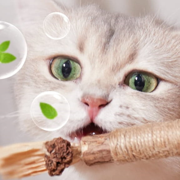 TOOLGOOD Natural Silvervine Sticks Cat Toys, Catmint Silvervine Blend Sticks, Catnip Kittens Chew Toys Teeth Cleaning, Matatabi Dental Care Cat Treat Edible Kitty Lick Toys, Package May Vary