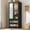 Black+31.5"W-Mirror, variant on 2 Doors Armoire Wardrobe Closet for Bedroom, with Mirror & 2 Drawers & LED Sensor Light, 71" H Wardrobe Closet Cabinet with Hanging Rod, Glass Doors