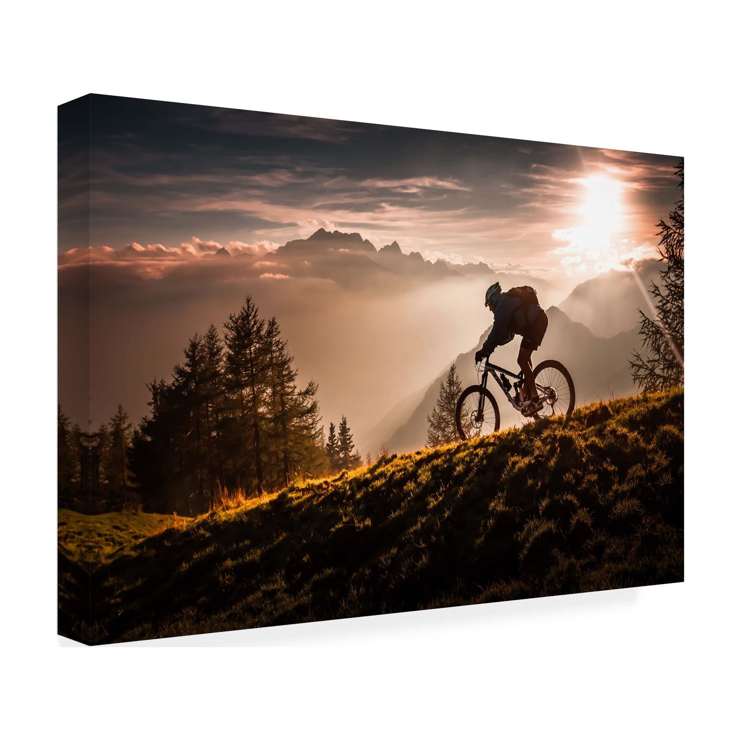 Sandi Bertoncelj 'Golden Hour Biking' Canvas Art