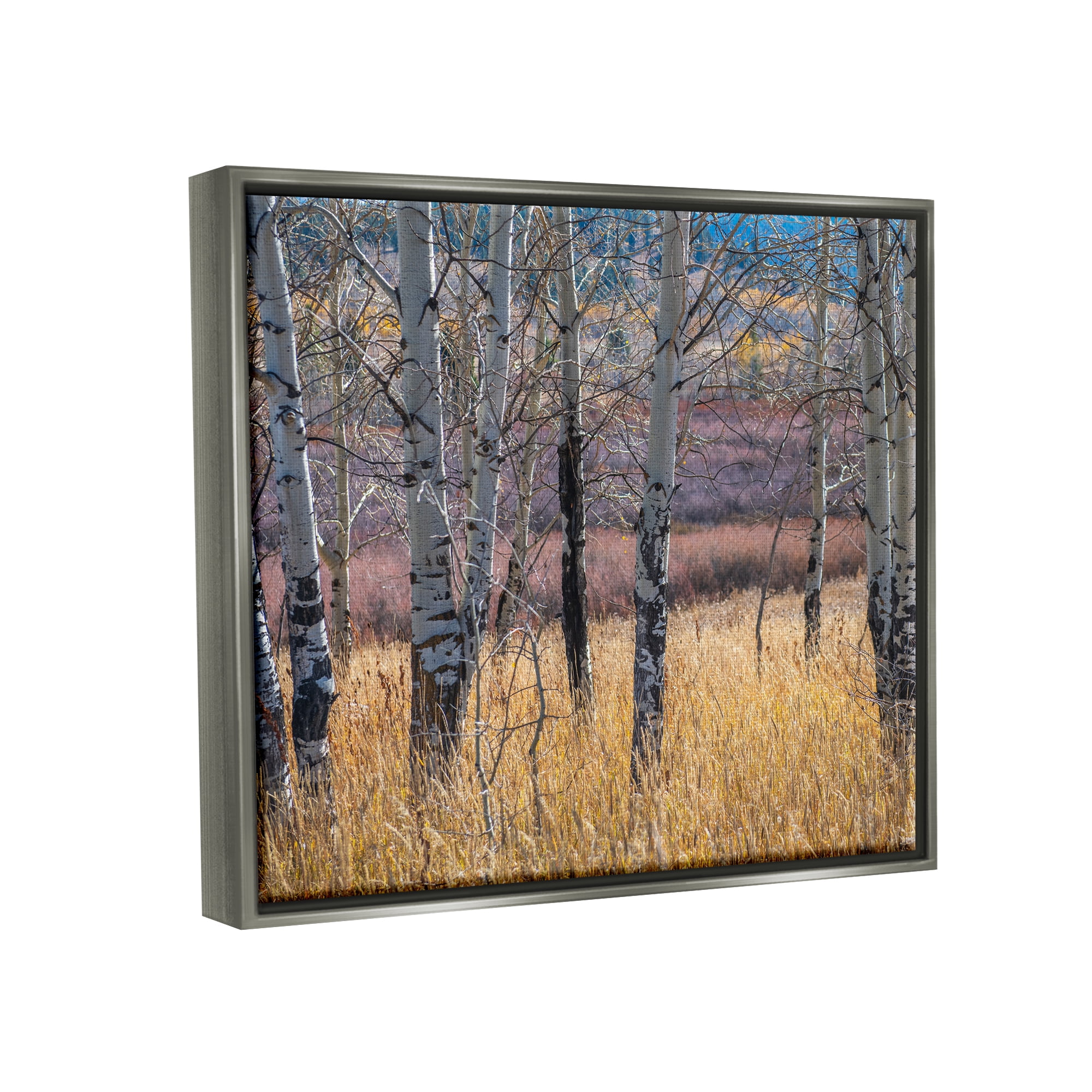 Stupell Industries Birch Trees Photography Nature Photography Gray Floater Framed Art Print Wall Art, 31 x 25