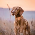 thumbnail image 6 of Pet Artist Genuine Leather Dog Collar for Large Dogs Strong 2" Wide Pet Collars Heavy Duty, 6 of 7