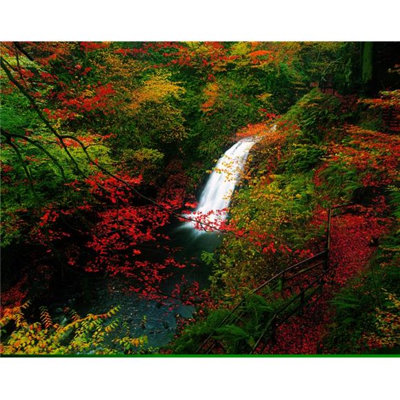Posterazzi DPI1801871 Glenoe Waterfall & Glen Co Antrim Ireland Poster Print by The Irish Image Collection, 17 x 13