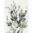 thumbnail image 2 of PI Studio 11x14 Black Ornate Wood Framed with Double Matting Museum Art Print Titled - A Cluster Of Leaves For You, 2 of 4