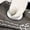 Charcoal Grey, variant on Chuck Taylor All Star Street Slip-On Toddler Shoes Charcoal 726091f