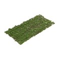 thumbnail image 3 of Runquan 3mm Static Grass Tuft Model Grass Cluster for Architectural Railway Railroad Type B, 3 of 8
