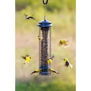 Brome Squirrel Solution150 Squirrel-Proof Bird Feeder, Green, 4 Perches, Free Seed Funnel, 2.6 lb Capacity