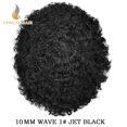 thumbnail image 3 of Lyricalhair Toupee for Men 10MM Kinky Curly Hairpieces for Man Brazilian Human Hair Replacement System Full PU Hair Units for African American Mens Wig Male Hair Prosthesis #1 Jet Black, 3 of 7
