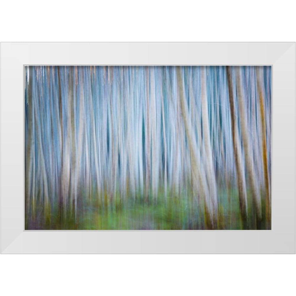 Mahan Kathy 14x11 White Modern Wood Framed Museum Art Print Titled - Winter Forest Abstract II