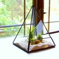 thumbnail image 2 of Maceteros Propagador Invernadero Floreros Geometría Jardinería Miniatura Macarena De efecto invernadero, 2 of 8