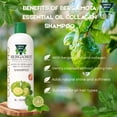 thumbnail image 6 of Green Royalty Bergamota-Collagen Shampoo with Bergamota, 33.8 oz, 3 Piece, 6 of 7